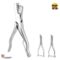 Stainless steel pig ear notcher with built-in spring – rustproof, compact livestock marking tool by Westfaleninstrumente