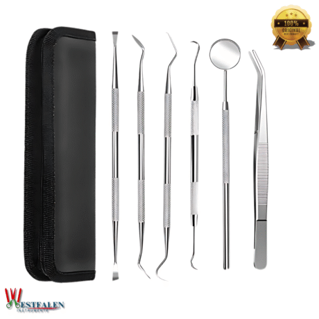 6-teiliges Dental Instrumente Set aus Edelstahl mit Zahnsteinentferner, Zahnschaber, Sonde, Dentalspiegel, Polierer und Pinzette für professionelle Zahnreinigung