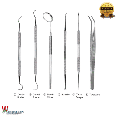 6-teiliges Dental Instrumente Set aus Edelstahl mit Zahnsteinentferner, Zahnschaber, Sonde, Dentalspiegel, Polierer und Pinzette für professionelle Zahnreinigung