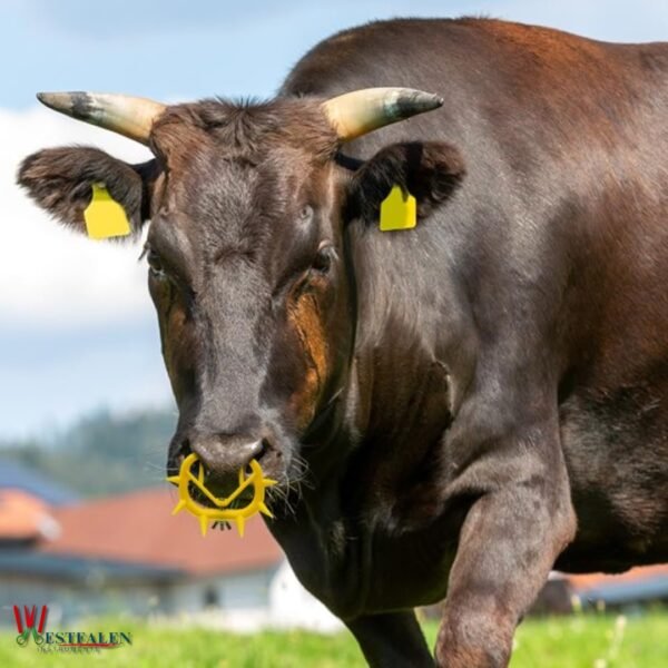 Yellow plastic calf weaner nose ring with spike design and wing nut for livestock weaning from Westfaleninstrumente