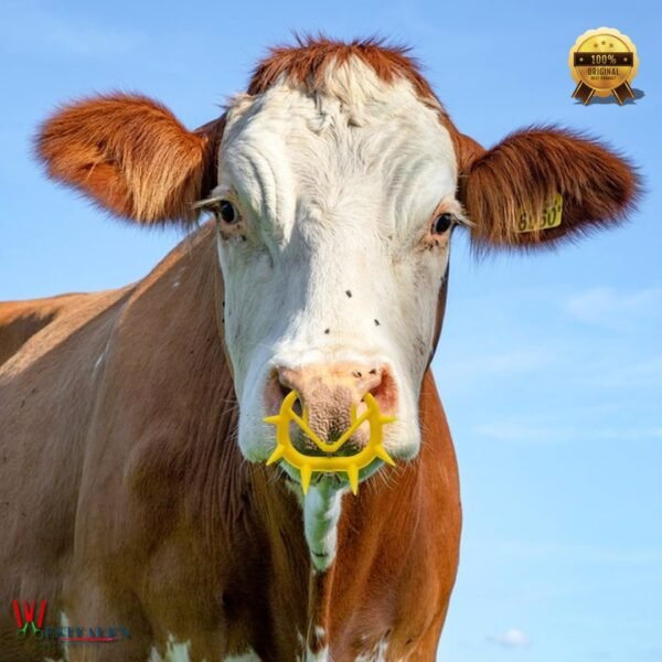 Yellow plastic calf weaner nose ring with spike design and wing nut for livestock weaning from Westfaleninstrumente