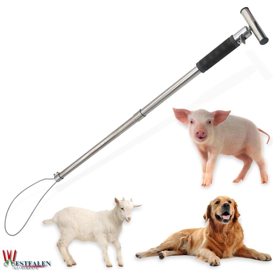 Stainless Steel Dog & Hog Catcher Pole – Portable Animal Control Tool with Locking Rope Loop and Anti-Slip Handle for Livestock, Farm, and Veterinary Use