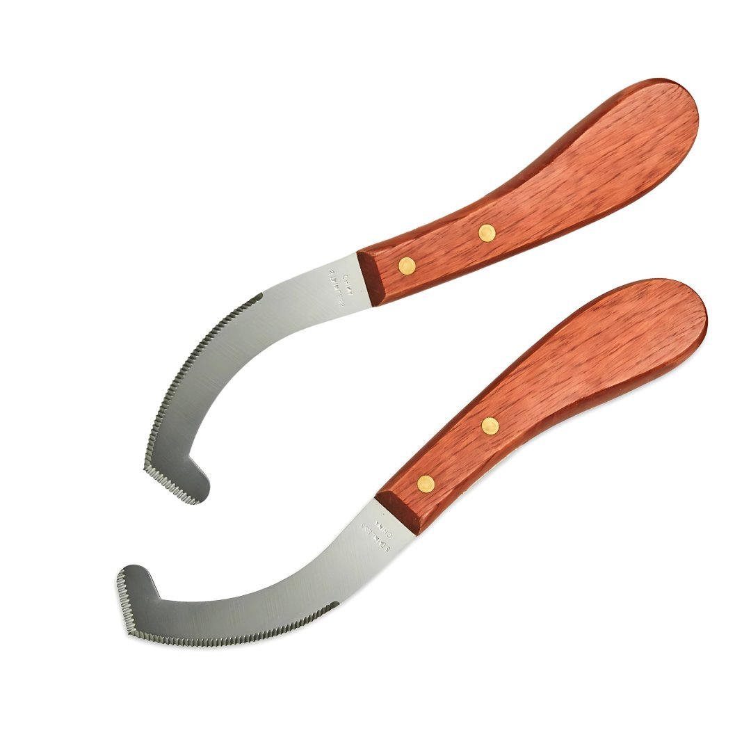 Loop hoof knife stainless steel - Image 2