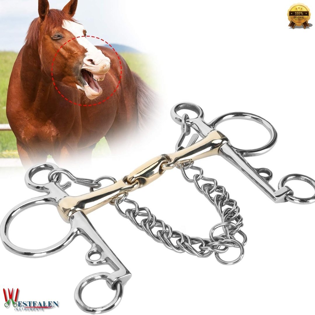 WESTFALEN INSTRUMENTE Stainless Steel Pelham Snaffle Horse Bit with Jointed Silicon Brass Connector - Image 2