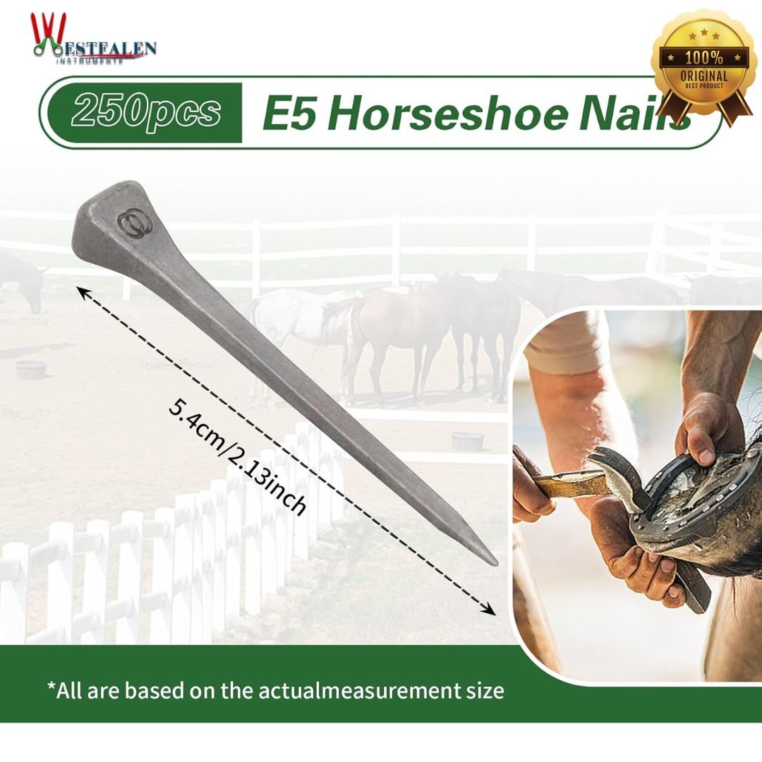 Westfalen Instrumente 250pcs Horseshoe Nails E6 – Stainless Steel 2-Inch Hoof Nails for Horseshoeing - Image 2