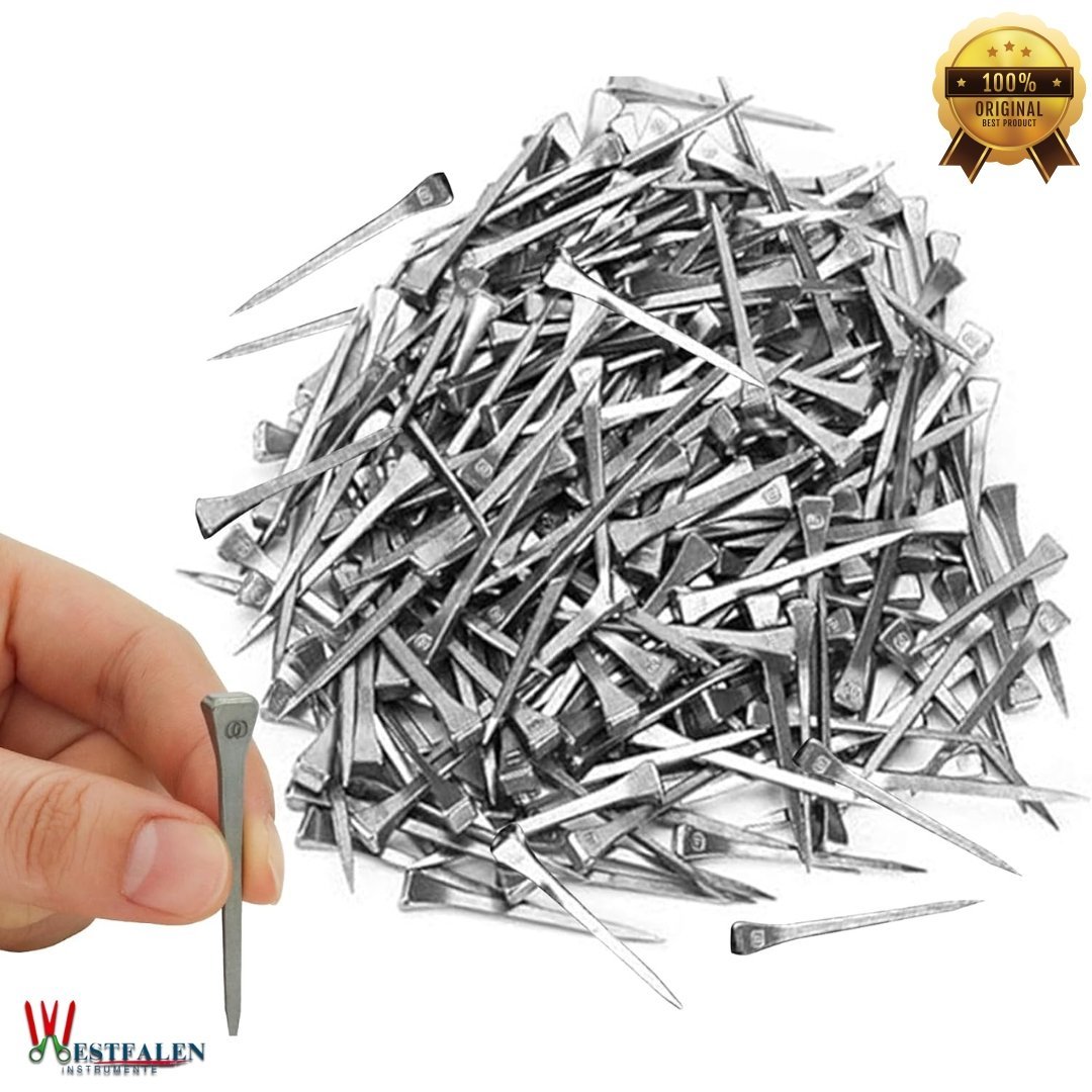 Westfalen Instrumente 250pcs Horseshoe Nails E6 – Stainless Steel 2-Inch Hoof Nails for Horseshoeing