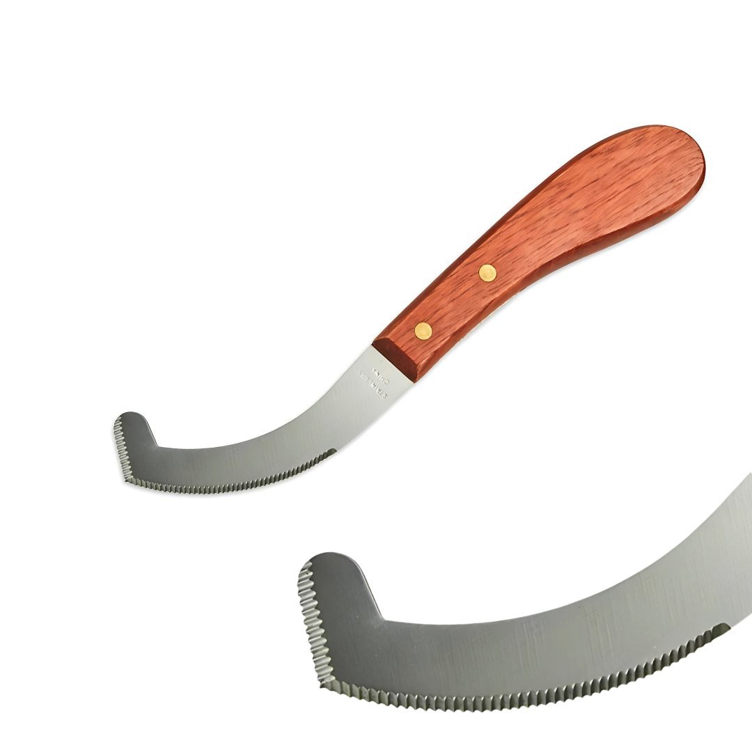 Loop hoof knife stainless steel - Image 3