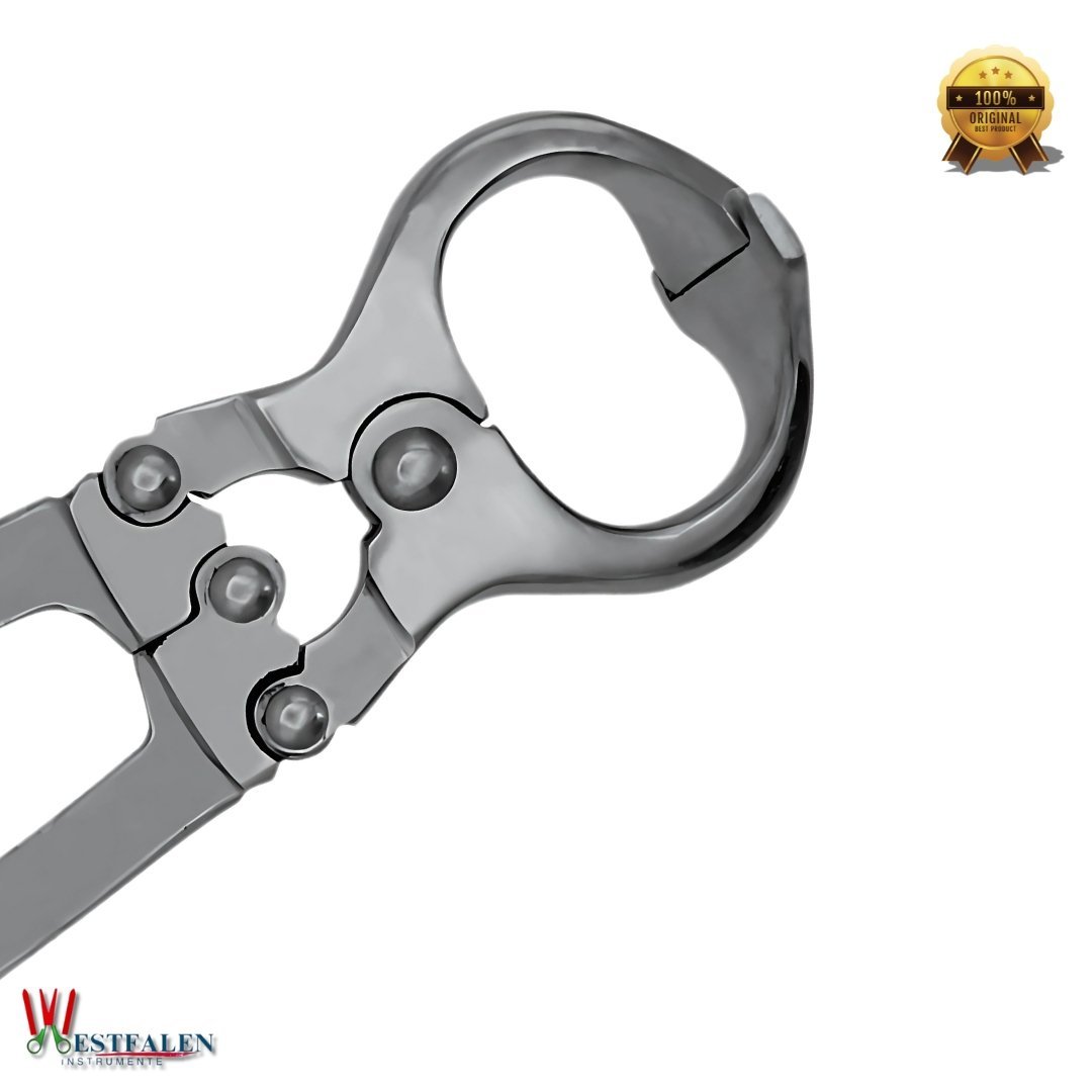 Burdizzo-Style Bloodless Castration Tool 19" Stainless Steel - Image 3