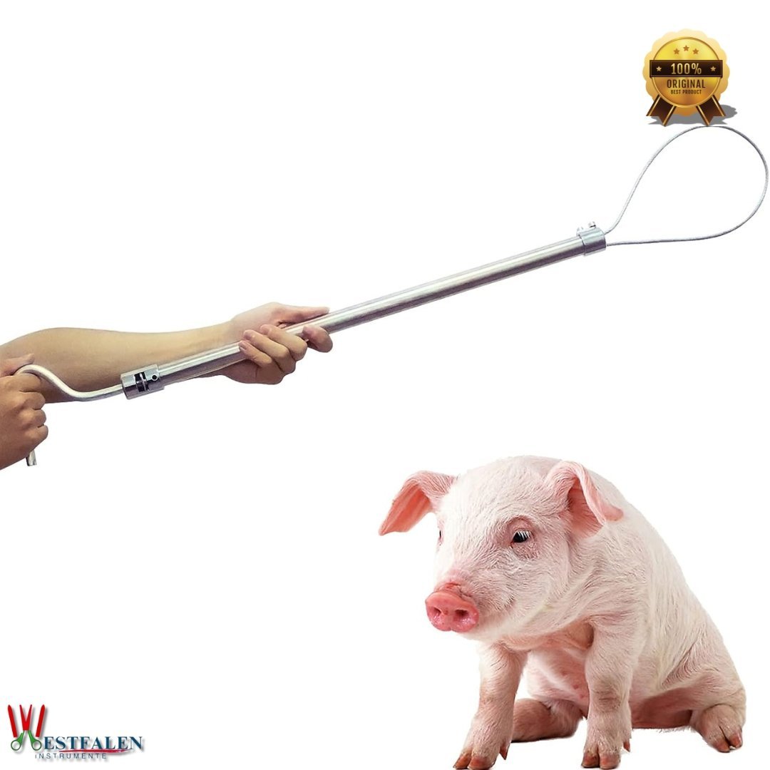 Heavy-Duty Hog Catcher Snare – 23.6" Stainless Steel Pig Holder Pole with Adjustable Steel Rope and Safety Lock Mechanism - Image 3