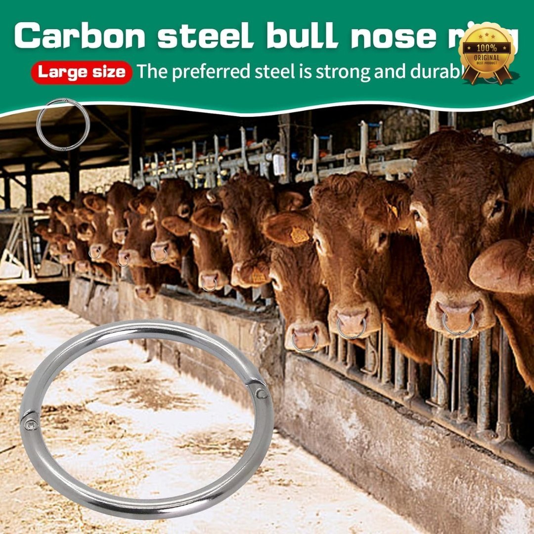 Stainless Steel Cow Nose Ring – Large Size Bull Nose Ring for Livestock Control, Veterinary Use & Farm Management - Image 4