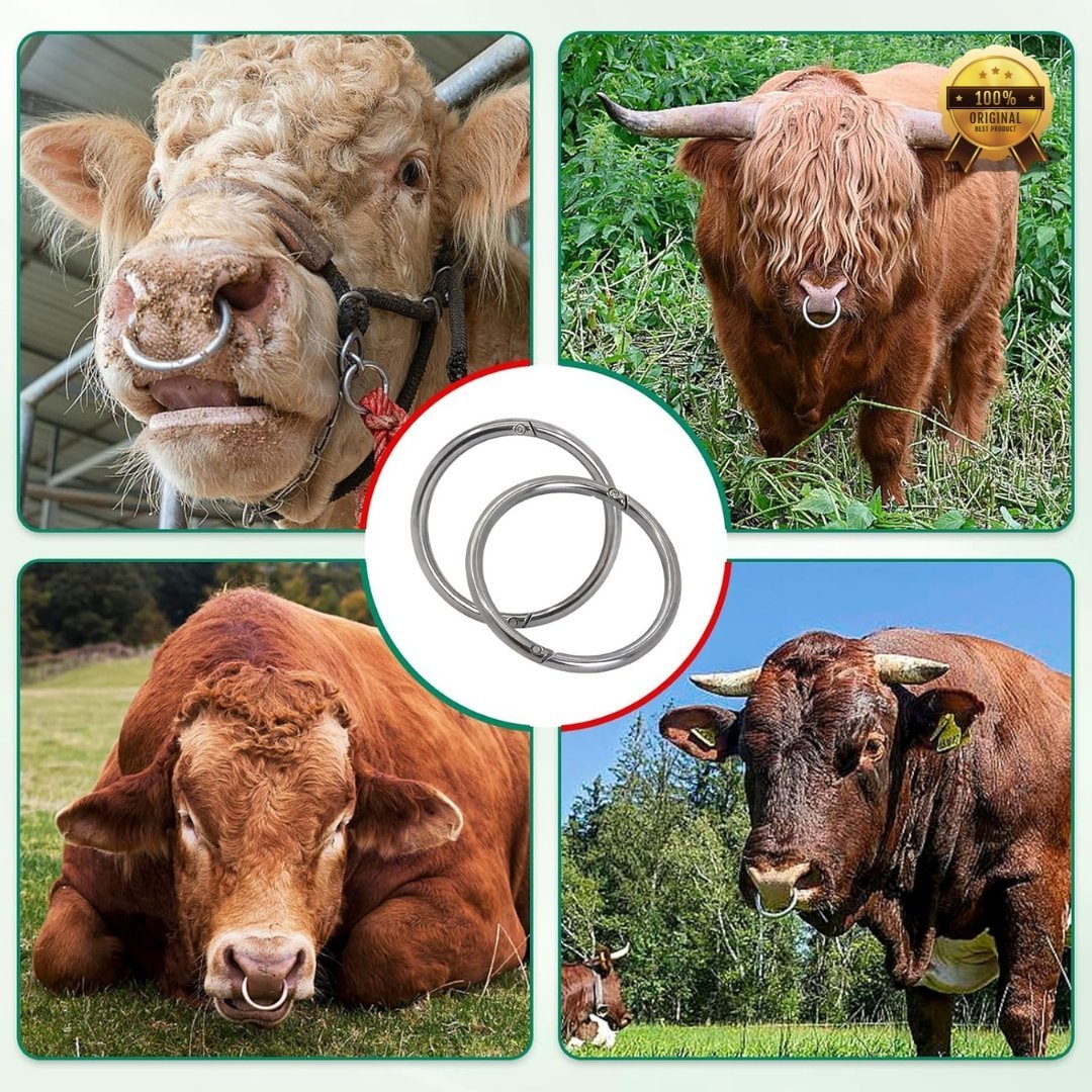 Stainless Steel Cow Nose Ring – Large Size Bull Nose Ring for Livestock Control, Veterinary Use & Farm Management - Image 5