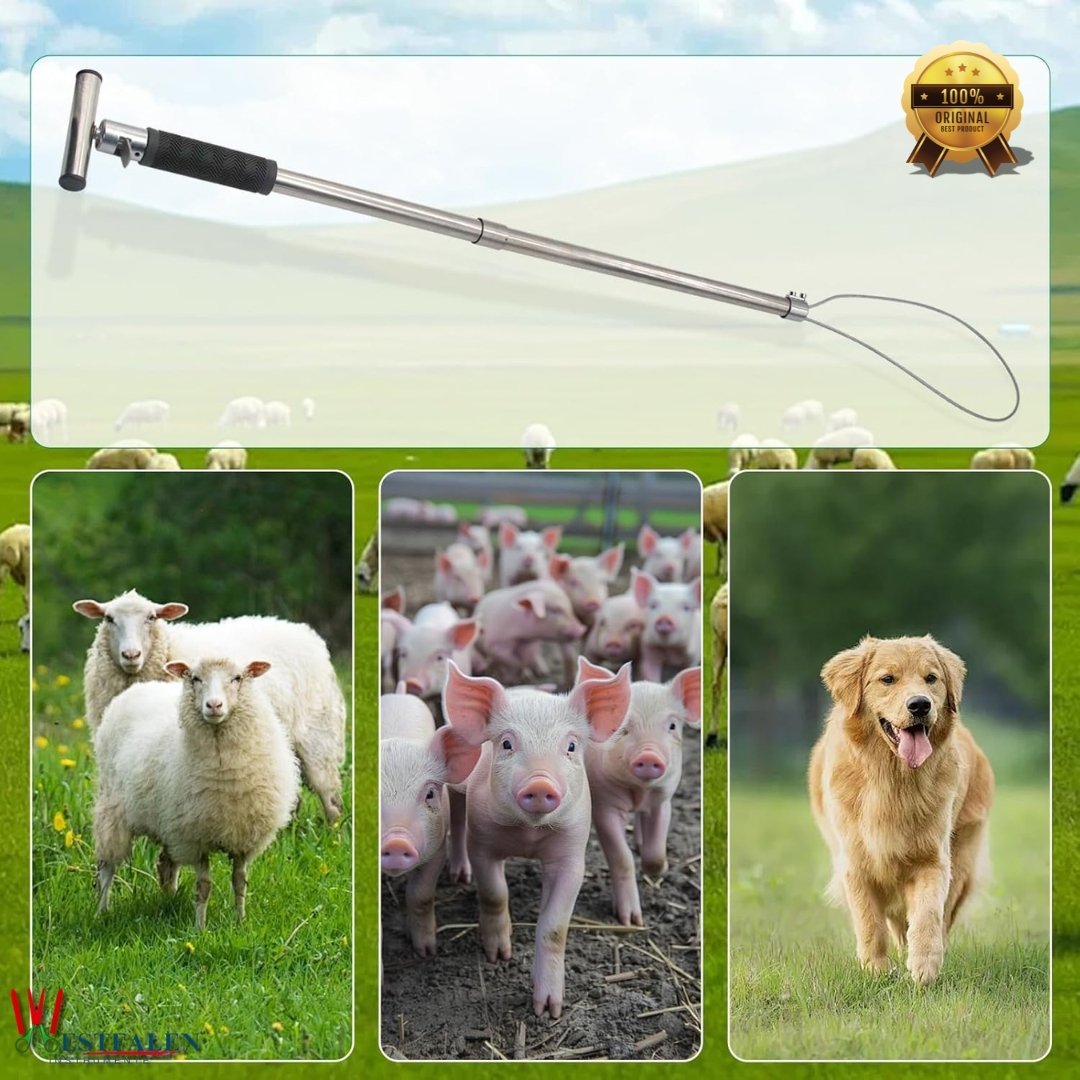 Stainless Steel Dog & Hog Catcher Pole – Portable Animal Control Tool with Locking Rope Loop and Anti-Slip Handle for Livestock, Farm, and Veterinary Use - Image 6