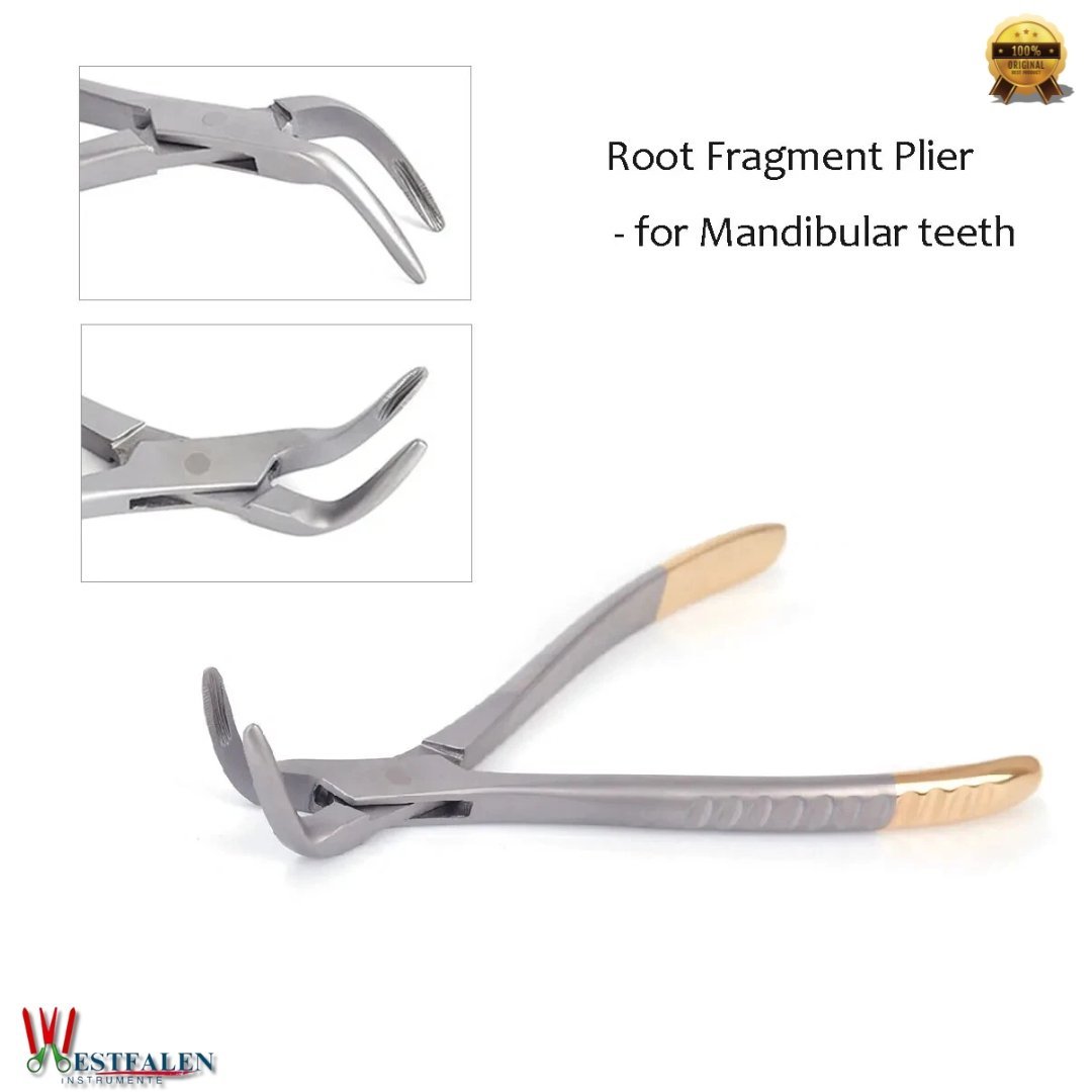 Westfaleninstrumene Stainless Steel Dental Weingart Distal End Pliers – Orthodontic Precision Tool - Image 14