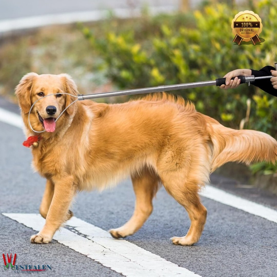 Stainless Steel Dog & Hog Catcher Pole – Portable Animal Control Tool with Locking Rope Loop and Anti-Slip Handle for Livestock, Farm, and Veterinary Use - Image 8