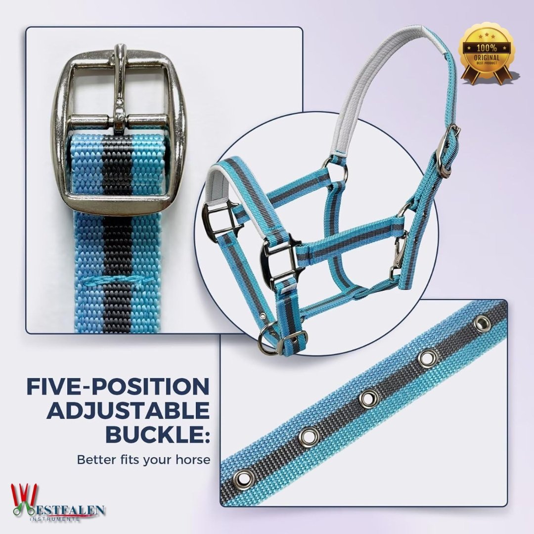 Adjustable Horse Halter with PP Webbing – Breakaway Design, Padded Crown & Nose, Zinc Alloy Hardware – Lightweight, Durable & Safe for Daily Training and Riding - Image 3