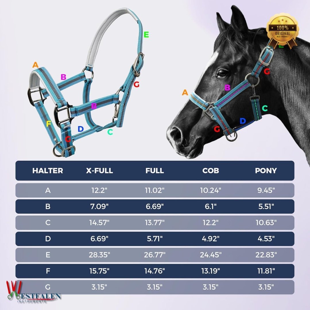 Adjustable Horse Halter with PP Webbing – Breakaway Design, Padded Crown & Nose, Zinc Alloy Hardware – Lightweight, Durable & Safe for Daily Training and Riding - Image 4