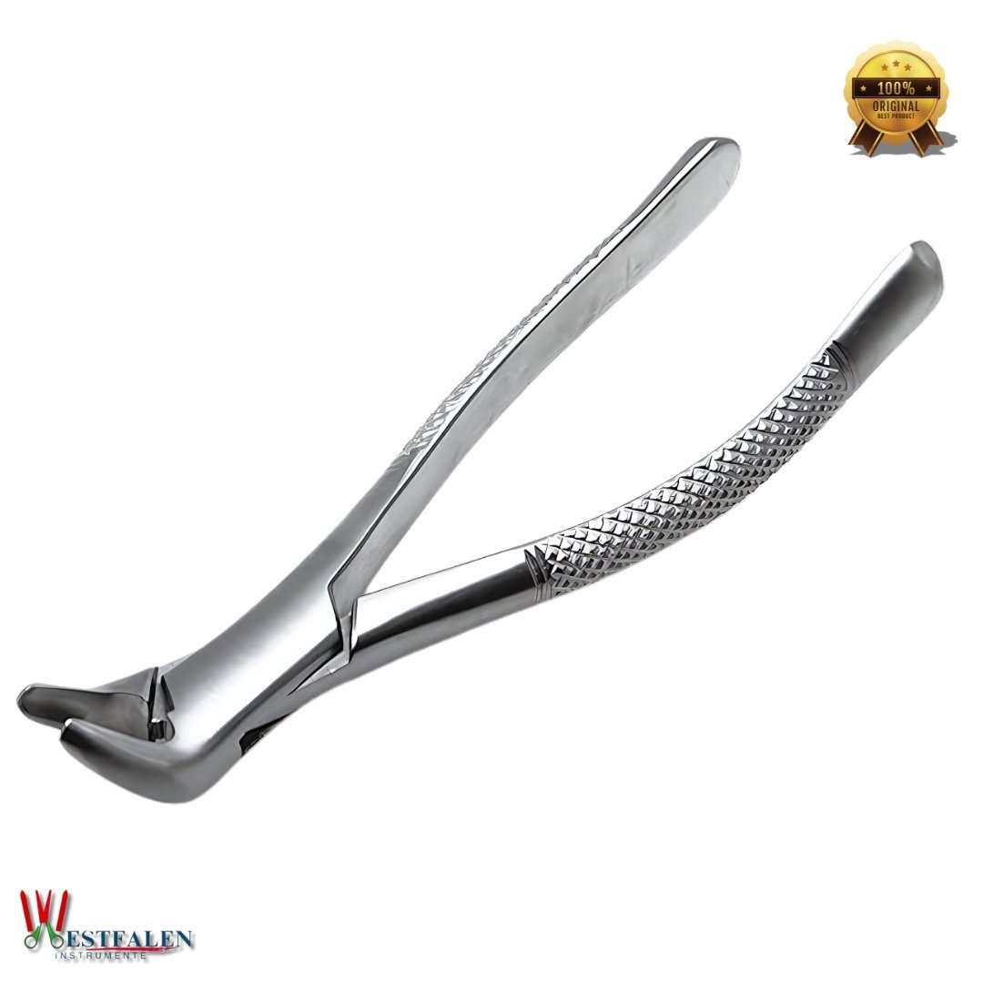 Dental Extracting Forceps Lower Incisors, Canines, Premolars & Root Extraction Tool