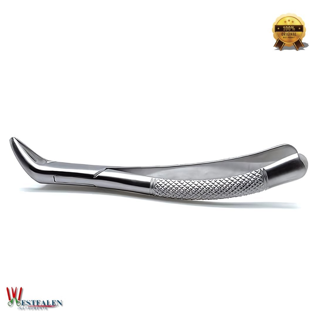 Dental Extracting Forceps Lower Incisors, Canines, Premolars & Root Extraction Tool - Image 2