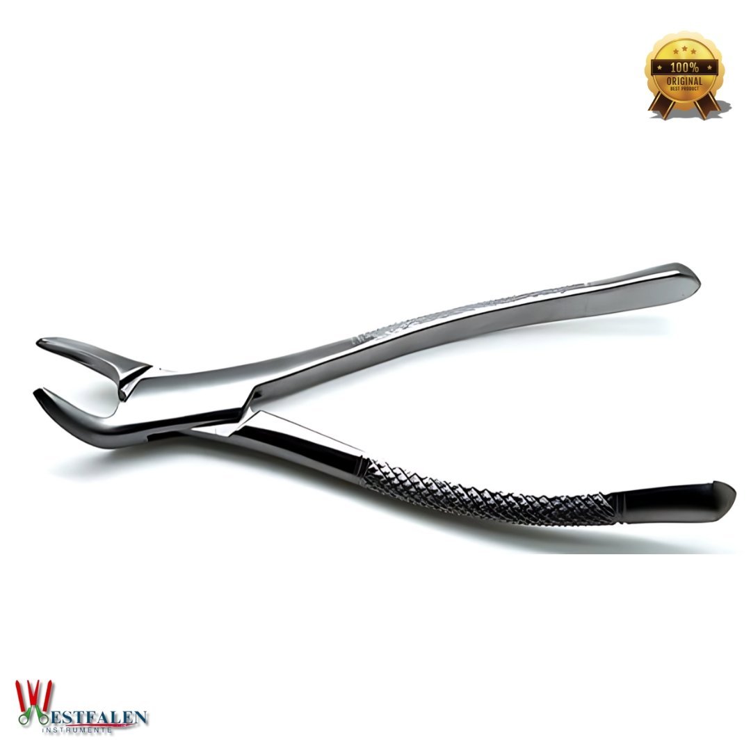 Dental Extracting Forceps Lower Incisors, Canines, Premolars & Root Extraction Tool - Image 3