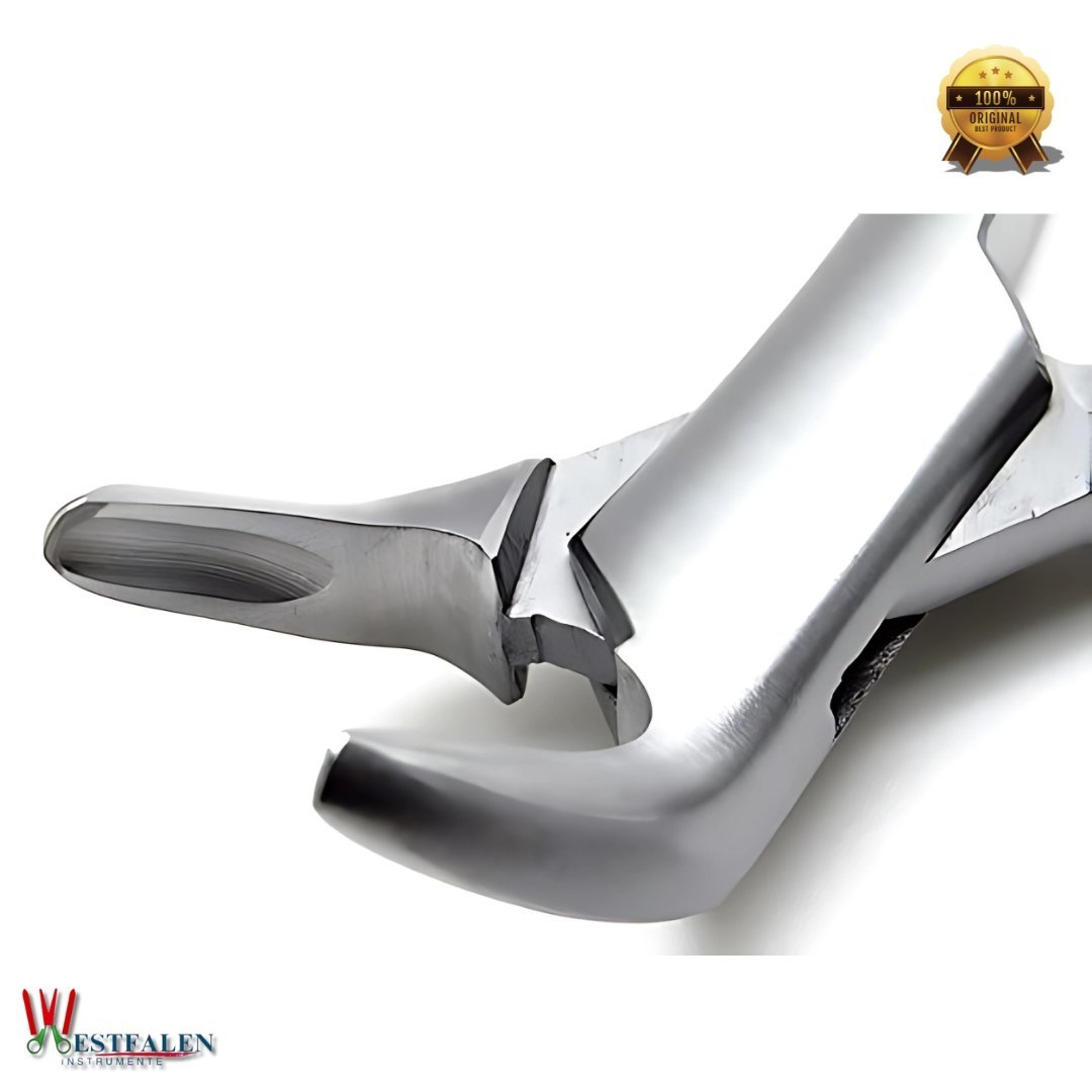 Dental Extracting Forceps Lower Incisors, Canines, Premolars & Root Extraction Tool - Image 4