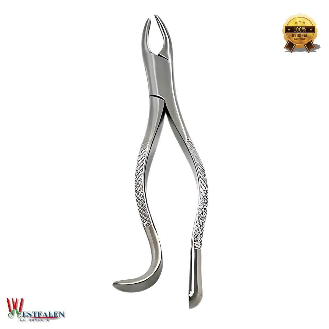 Dental Extracting Forceps Upper First & Second Molar Extraction Tool