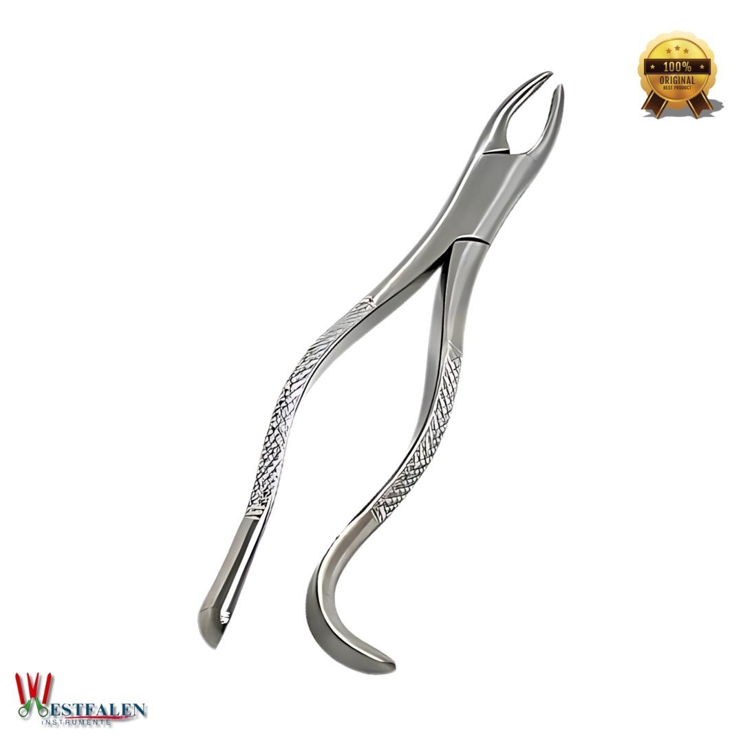 Dental Extracting Forceps Upper First & Second Molar Extraction Tool - Image 2