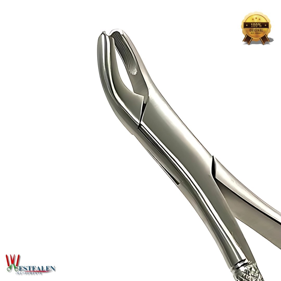 Dental Extracting Forceps Upper First & Second Molar Extraction Tool - Image 3