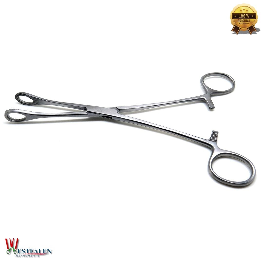 Foerster Sponge Forceps 12" – Straight, Serrated Surgical Holding Instrument (Stainless Steel, Veterinary Grade) - Image 3