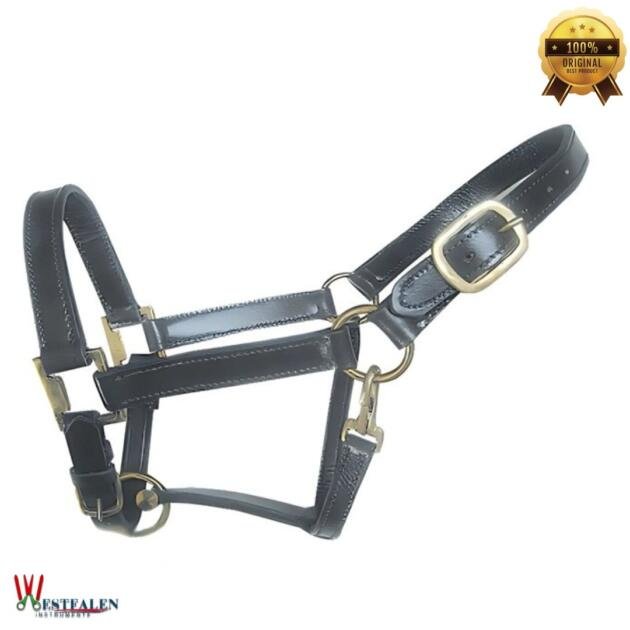 WESTFALENINSTRUMENTE Halters & Reins 6