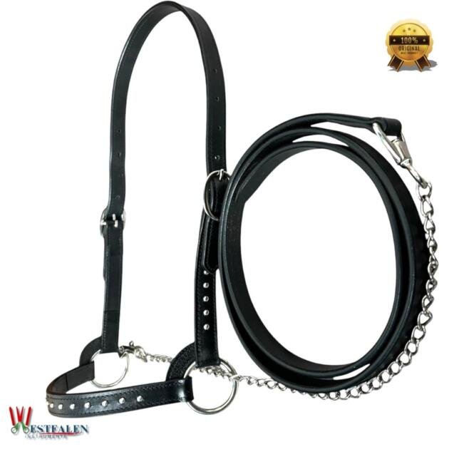Leather Cattle Show Halter with Lead – Double Layer Leather, Sunspot Studded Design, Adjustable Fit, Brass Nickel-Plated Hardware – by WESTFALENINSTRUMENTE