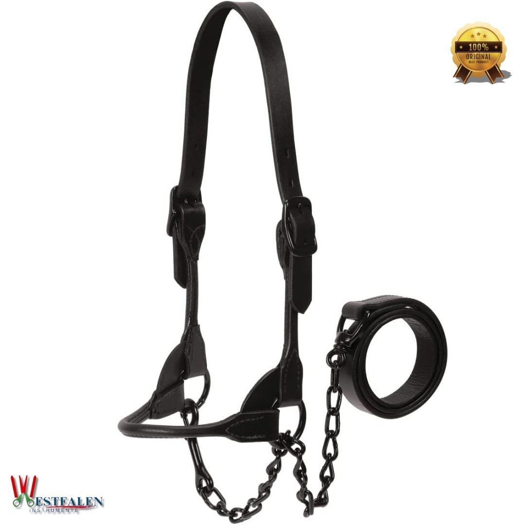 Leather Magic Show Halter – Black Bridle Leather with Glossy Black Hardware, Rounded Noseband & Cheek Pieces, Includes Chain & Lead – Medium Size – by WESTFALENINSTRUMENTE