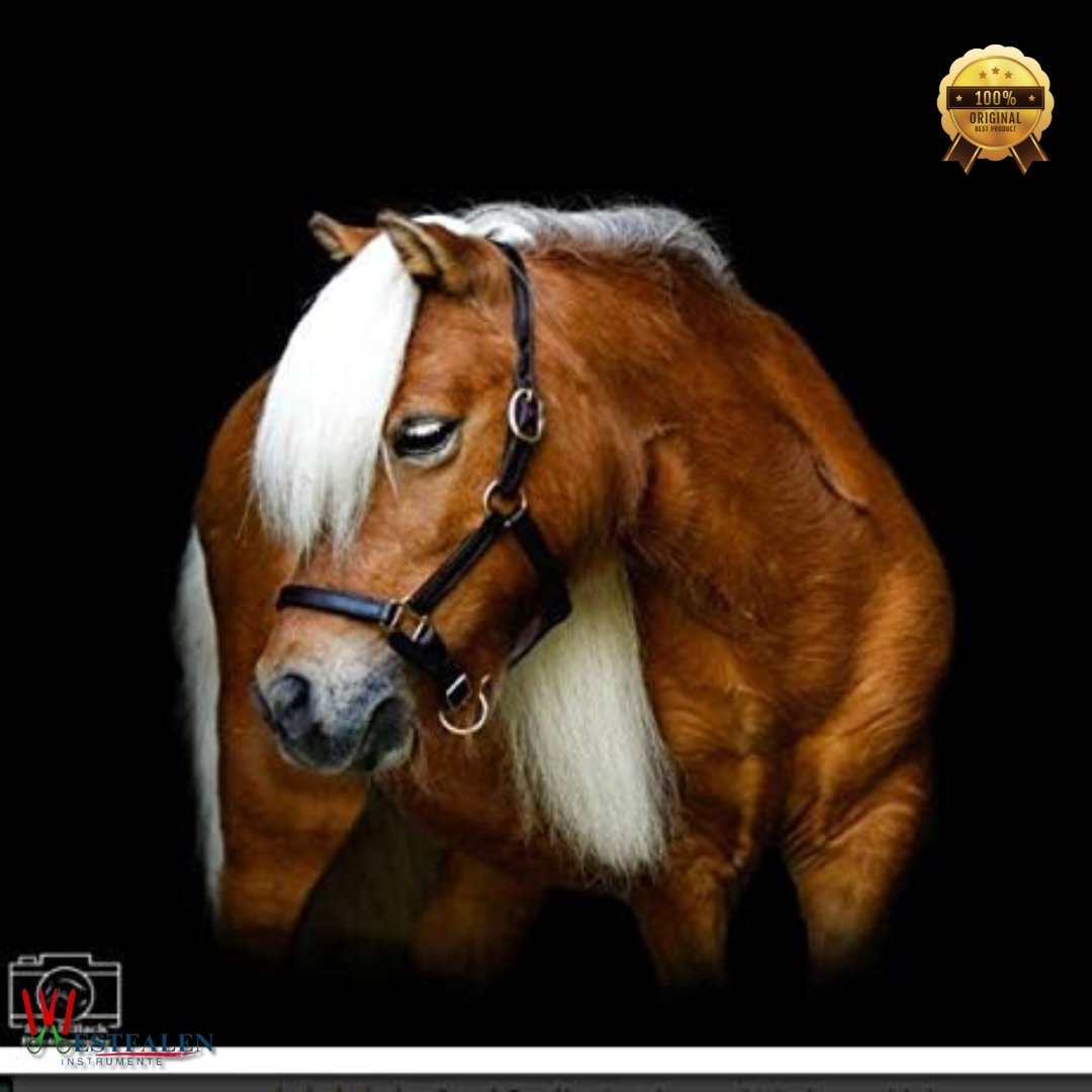 Mini/Suckling Foal Size Leather Horse Halter – Adjustable Brown Leather with Brass Hardware, Double Stitched, Double Buckle Crown – by WESTFALENINSTRUMENTE - Image 2