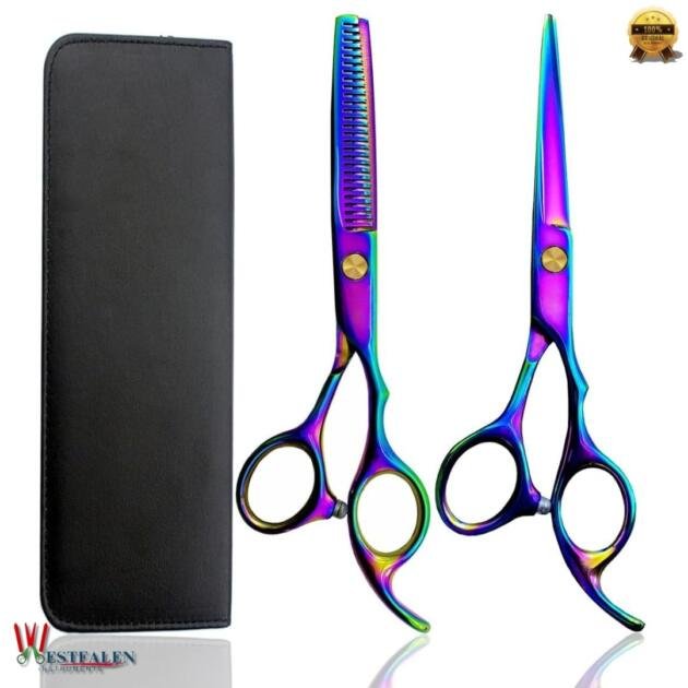 Professional Hair Cutting Shears Set – 6 Inch Rainbow Hairdressing Kit with Thinning Scissors & Storage Bag