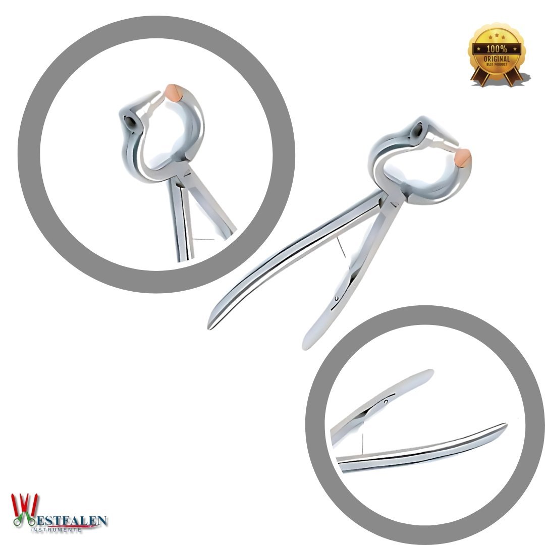 Westfaleninstrumene Bull Nose Punch Ring Applicator – Stainless Steel Veterinary Livestock Tool - Image 3